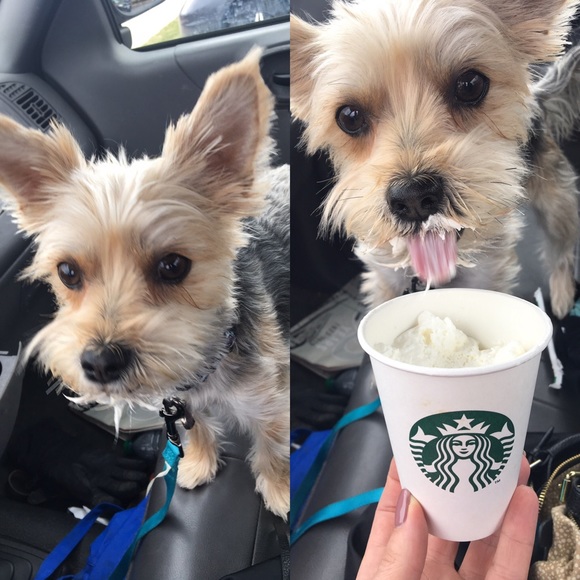 Meet your Posher, Juliette - Picture 2 of 8